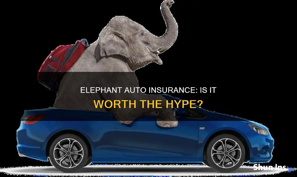 is elephant auto insurance any good