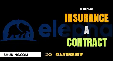 Is Elephant Insurance a Contract? Understanding Your Policy and Rights