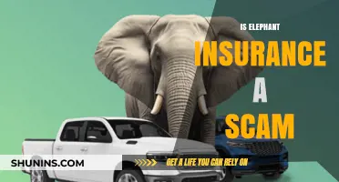 Is Elephant Insurance Legit or a Scam? Uncovering the Truth