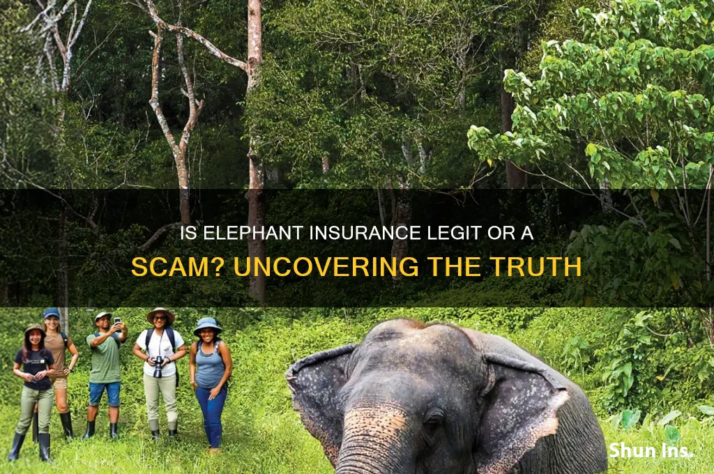 is elephant insurance a scam