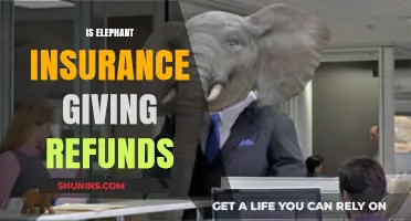 Elephant Insurance Refunds: What Policyholders Need to Know Now