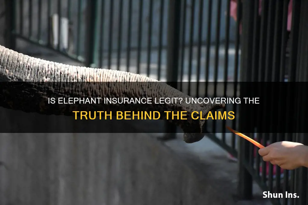 is elephant insurance legit