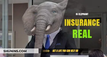 Is Elephant Insurance Real? Uncovering the Truth Behind the Unique Policy
