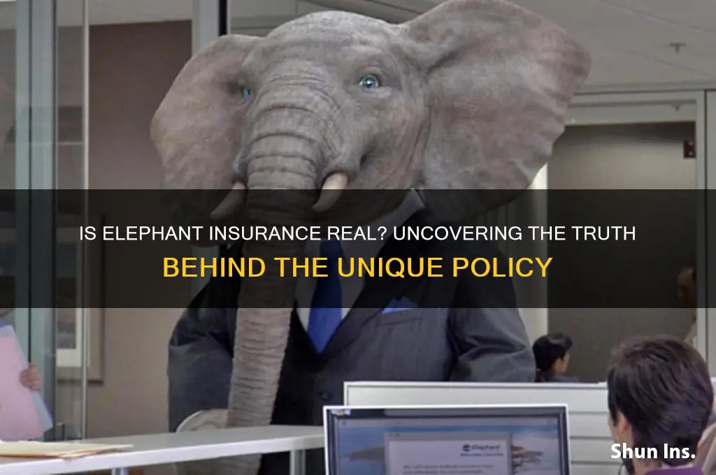 is elephant insurance real