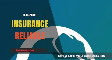 Is Elephant Insurance Reliable? A Comprehensive Review and Analysis