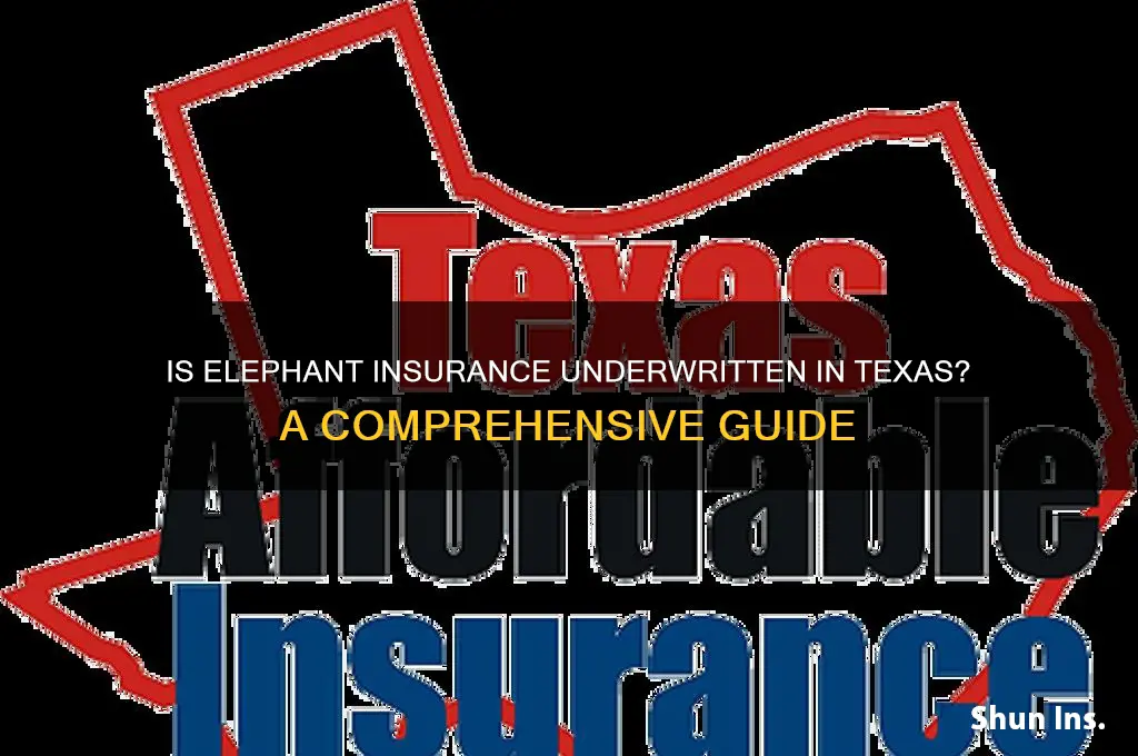 is elephant insurance underwrte in texas