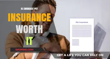Pet Insurance: Is Embrace Worth the Cost?