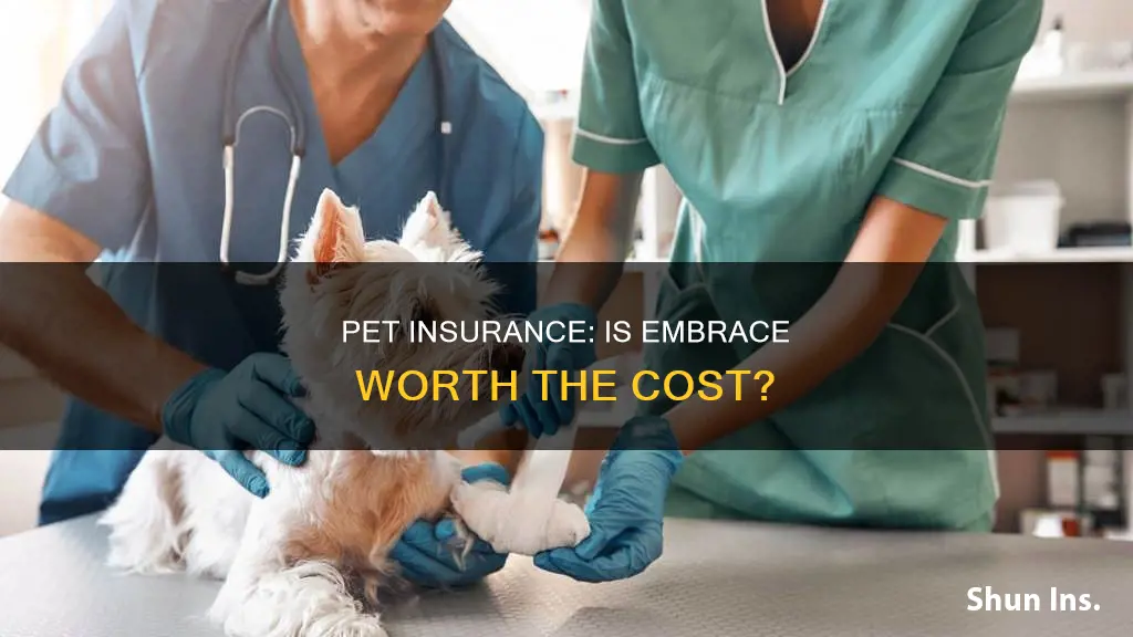 is embrace pet insurance worth it
