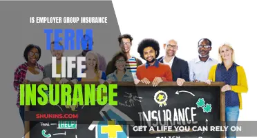 Group Insurance: Term Life Insurance for Employers