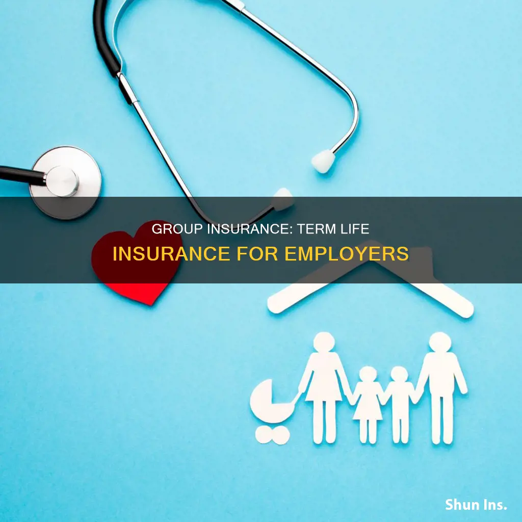 is employer group insurance term life insurance