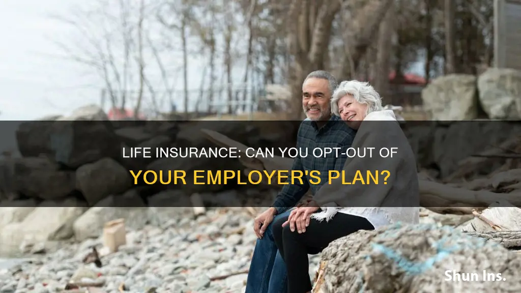 is employer life insurance optional