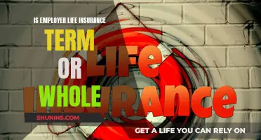 Life Insurance: Term or Whole for Employers?