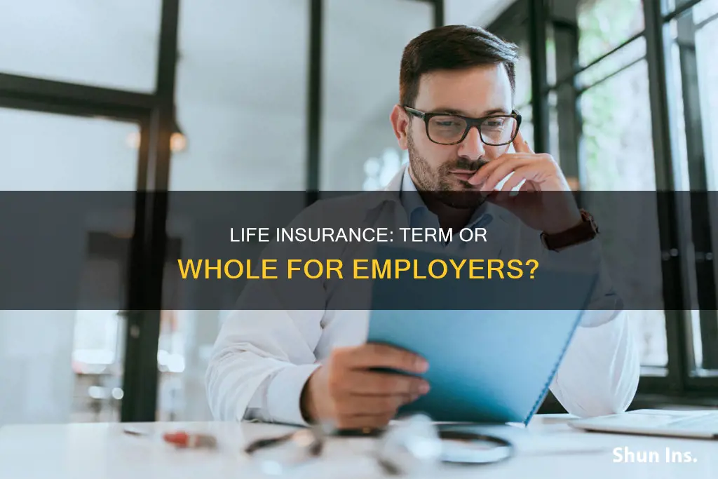 is employer life insurance term or whole