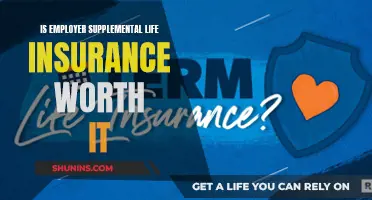 Supplemental Life Insurance: Is It Worth the Extra Cost?