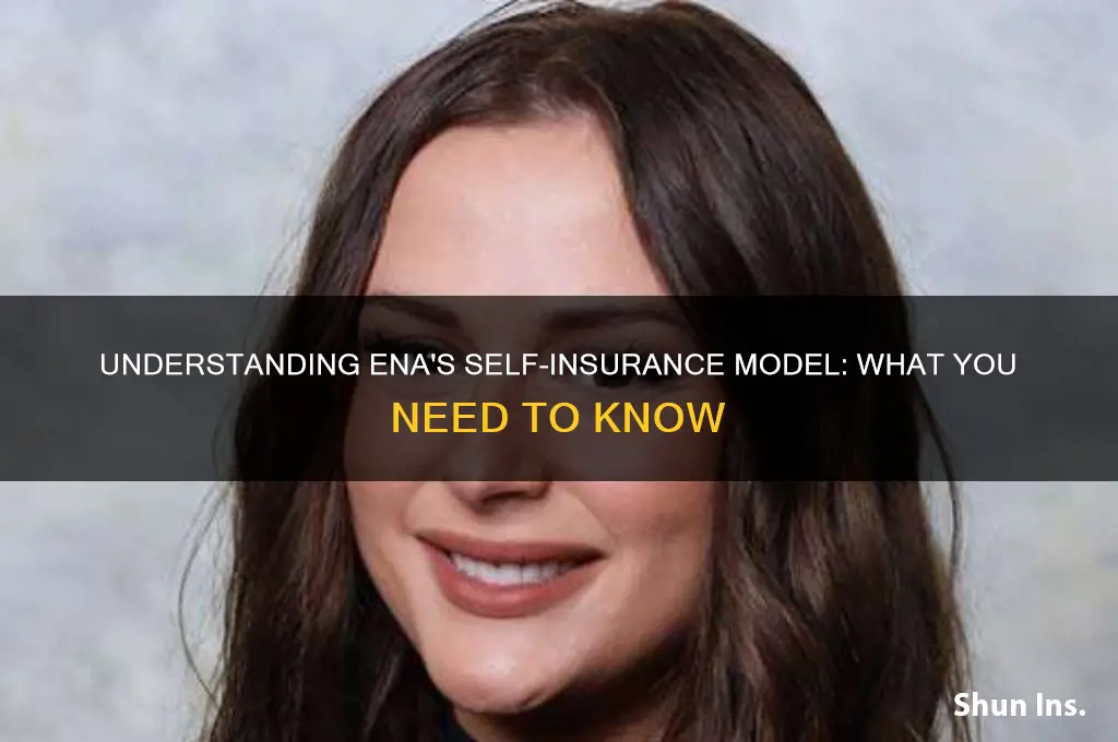 is ena self insured