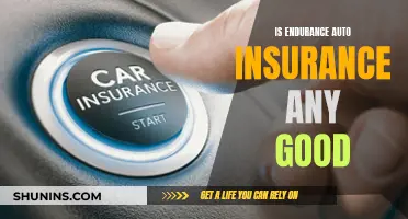 Endurance Auto Insurance: Is It Worth the Hype?