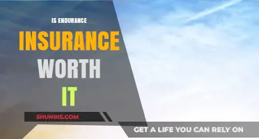 Endurance Insurance: Is It Worth the Hype?