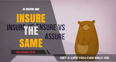 Ensure vs. Insure: Understanding the Difference and Correct Usage