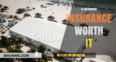 Enterprise Insurance: Is the Cost Justified?