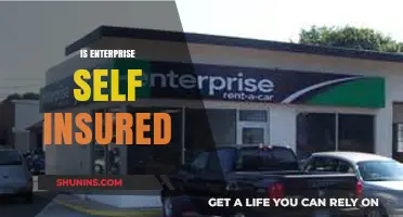 Understanding Enterprise Self-Insurance: Benefits, Risks, and Implementation Strategies