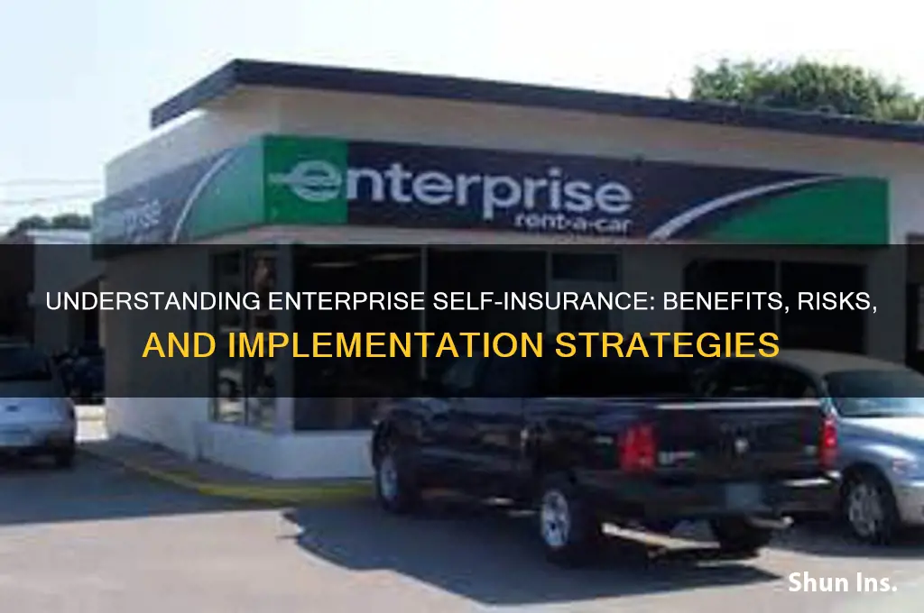 is enterprise self insured
