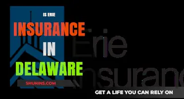 Is Erie Insurance Available in Delaware? A Comprehensive Guide