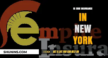 Is Erie Insurance Available in New York? Coverage and Details Explained