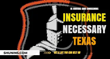 Is Errors and Omissions Insurance Necessary in Texas? Key Insights