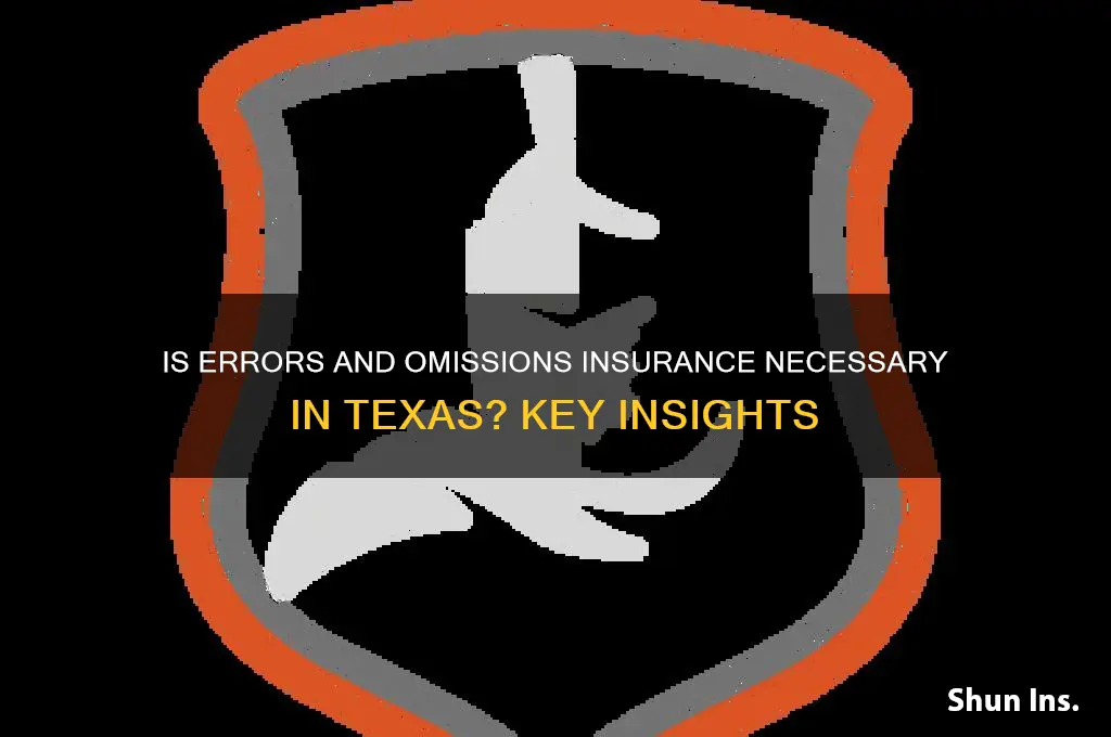 is errors and omissions insurance necessary texas