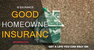 Esurance: A Good Home Insurance Option?