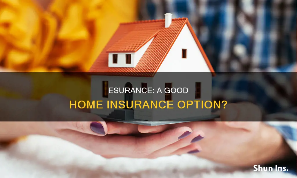 is esurance good homeowners insurance