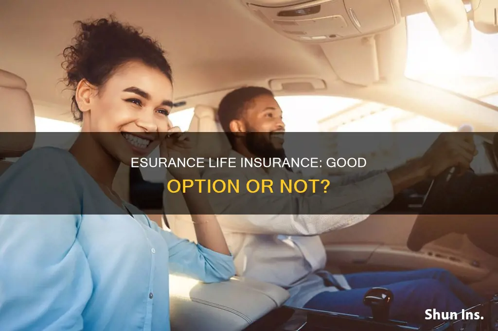 is esurance life insurance any good