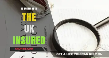 Is Everyone in the UK Insured? Exploring Coverage and Gaps