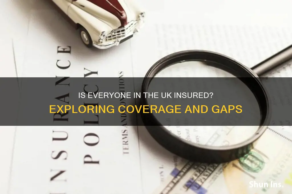 is everyone in the uk insured