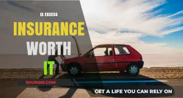 Excess Insurance: Is It Worth the Cost?