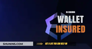 Is Exodus Wallet Insured? Exploring Security and Protection for Your Crypto