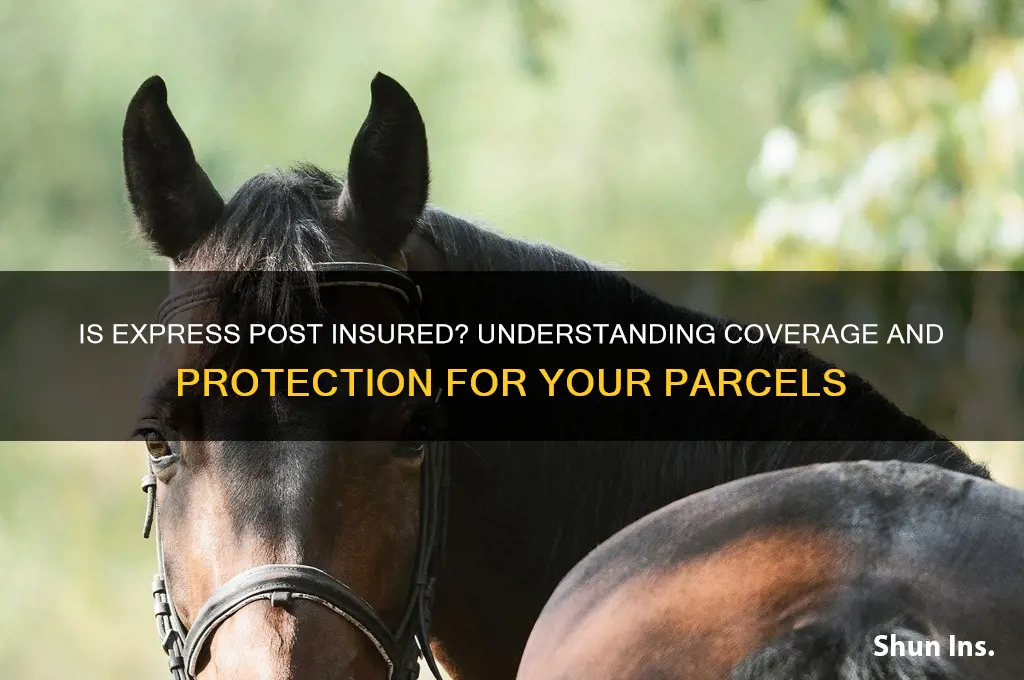 is express post insured