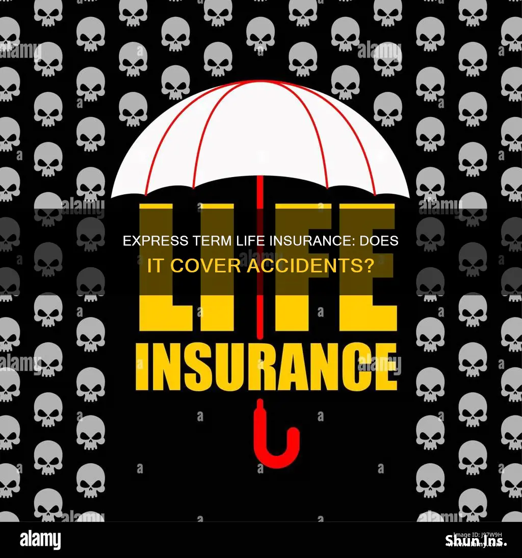 is express term life insurance includes accident