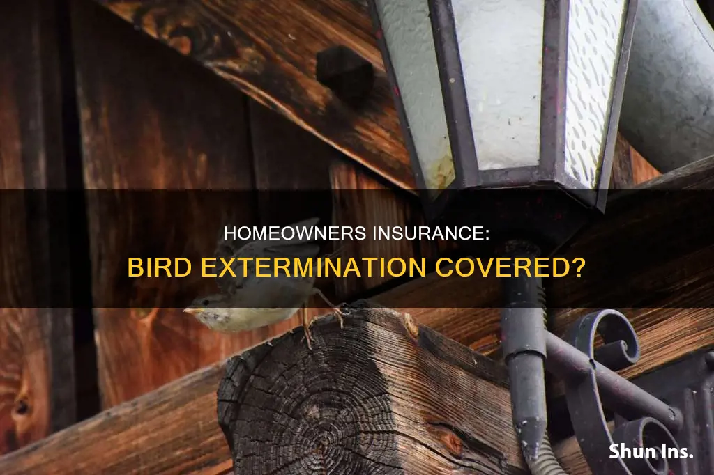 is extermination birds homeowners insurance