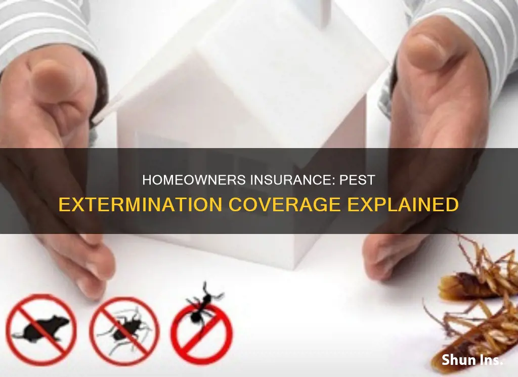 is extermination homeowners insurance