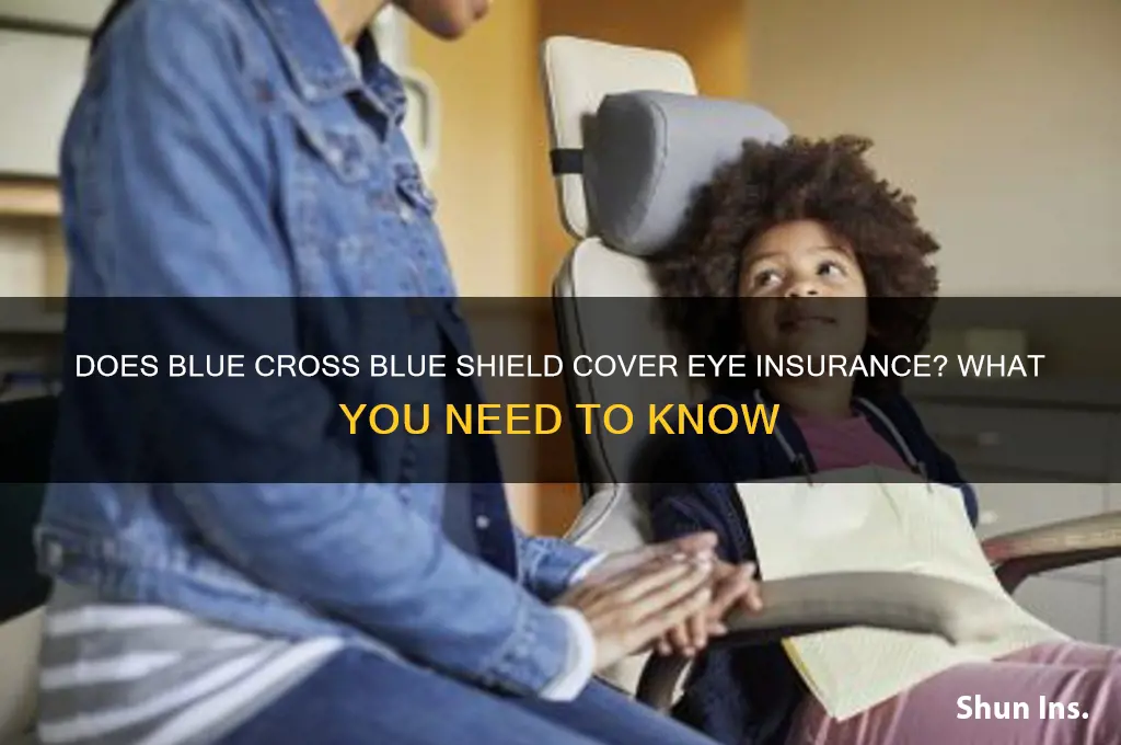 is eye insurance in my blue cross blue shield
