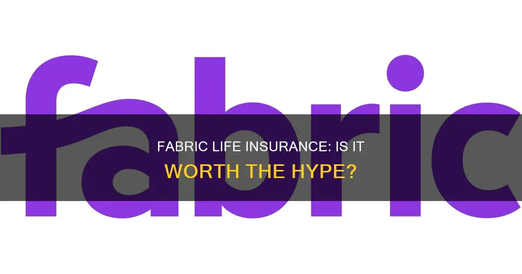 is fabric life insurance good