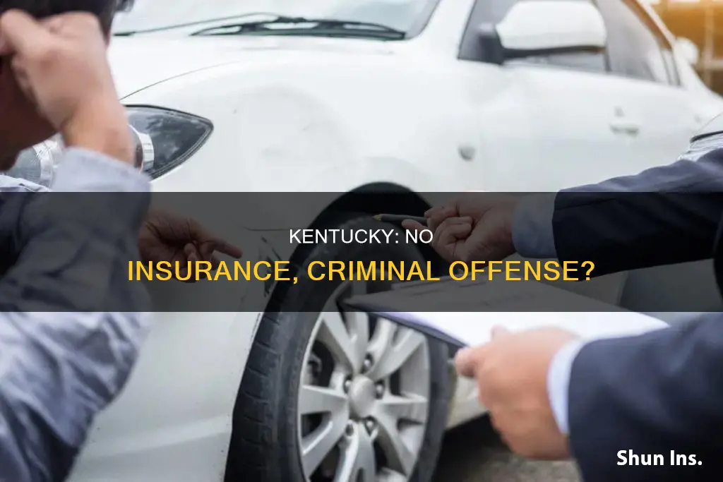 is failure to carry insurance in kentucky a criminal offense