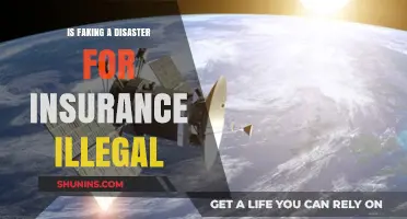 Faking Disasters for Insurance: Legal Consequences and Ethical Implications