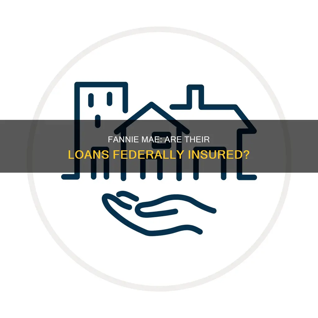 is fannie mae federally insured