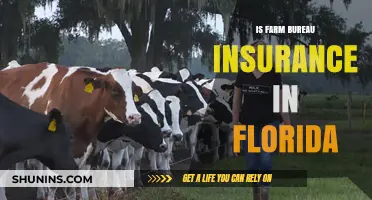 Florida Farm Bureau Insurance: What You Need to Know