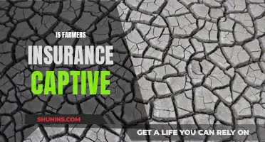 The Captive Conundrum: Exploring the Nature of Farmers Insurance Relationship