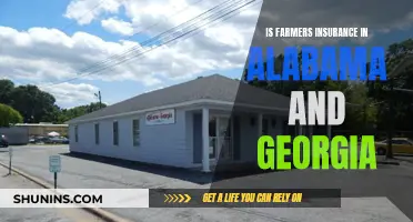 Farmers Insurance: Bridging Alabama and Georgia with Tailored Coverage