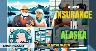 Farmers Insurance's Presence in Alaska: Statewide Coverage and Benefits