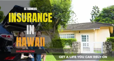 Farmers Insurance: Exploring Its Presence and Impact in Hawaii